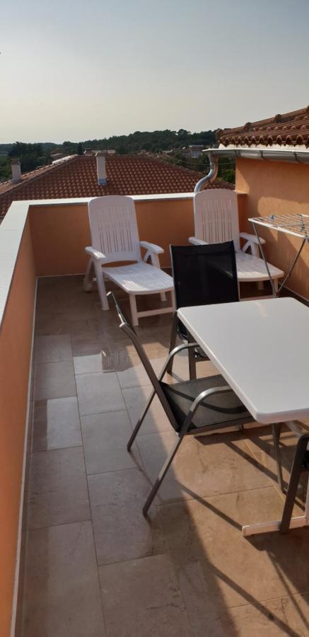 Apartmani Citrus Novigrad Filipac Exterior foto